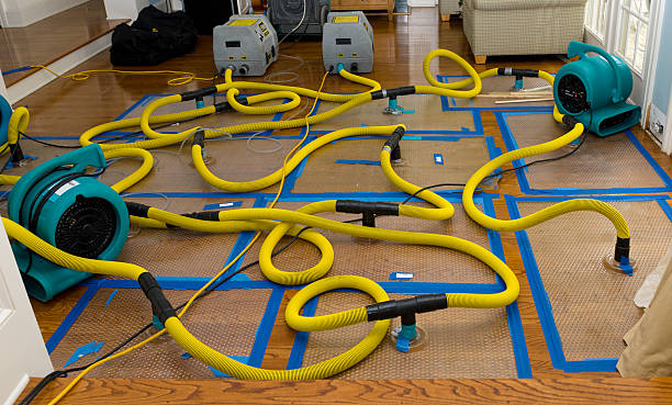 Professional Sewage Cleanup technician working in Lake Park, FL